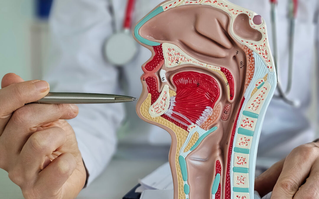 Oral Pathology: Signs of Cysts, Tumors, or Biopsies and Why Early Detection Matters